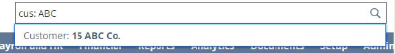 netsuite search