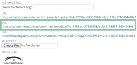 netsuite custom html